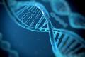ساخت یک موتور مولکولی چرخشی با کمک DNA
