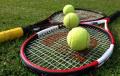 سجادی: برنامه‌ریزی‌های تنیس، حرفه‌ای است